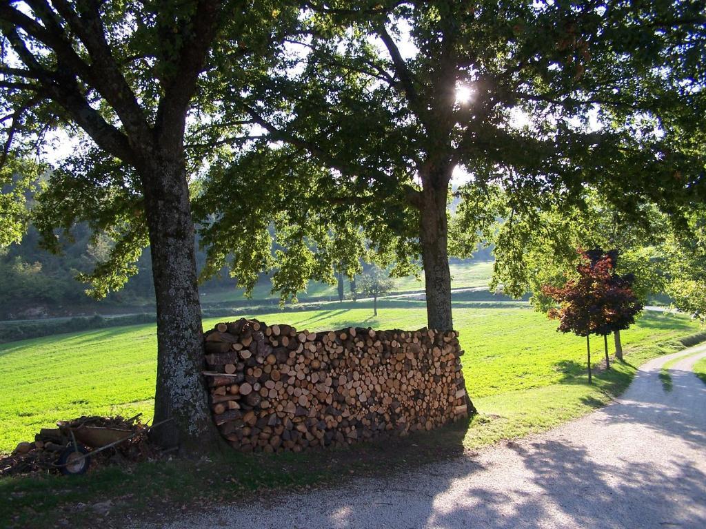 Agriturismo Fontandrone Villa Pieve Santo Stefano Exteriör bild
